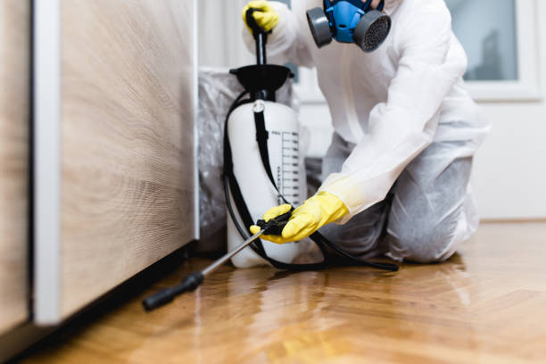 Best Bed Bug Extermination  in Kgsford Heights, IN