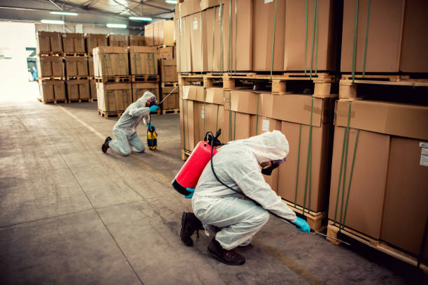 Best Best Pest Control Companies  in Kgsford Heights, IN