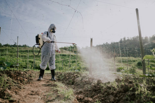 Best Pest Control for Businesses  in Kgsford Heights, IN